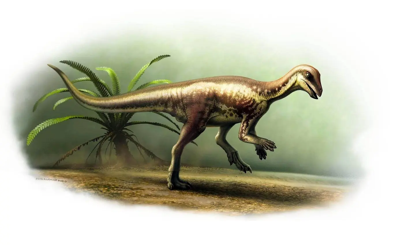 کشف دایناسوری کوچک به اندازه یک گربه خانگی! 