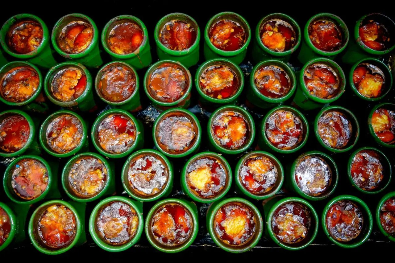 تصاویر؛ طعم سنت در سفره مدرن