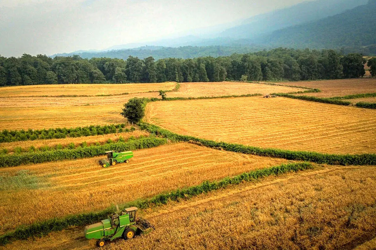 زمین‌خواری میلیاردی/ متهم به مرجع قضایی معرفی شد
