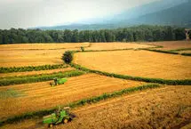 زمین‌خواری میلیاردی/ متهم به مرجع قضایی معرفی شد
