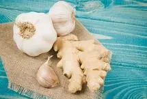 ۴ آنتی‌بیوتیک طبیعی