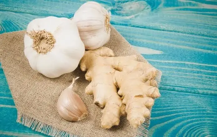 ۴ آنتی‌بیوتیک طبیعی