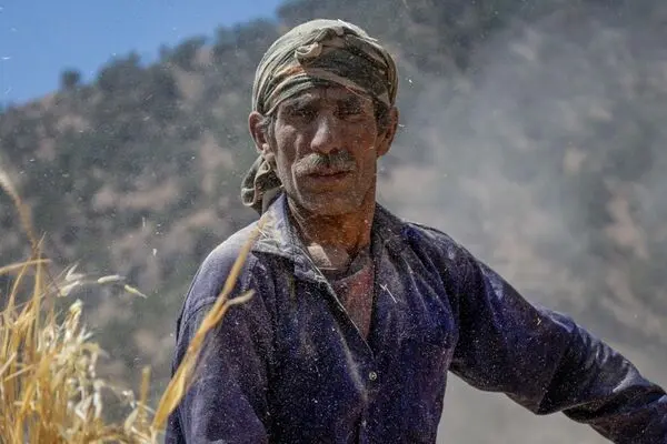 تصاویر؛ فصل کشت و کار عشایر بختیاری