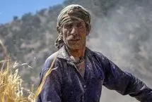 تصاویر؛ فصل کشت و کار عشایر بختیاری