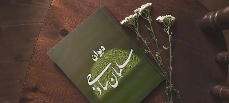 می‌برد سودای چشم مستش از راهم دگر / از کجا پیدا شد این سودای ناگاهم دگر؟