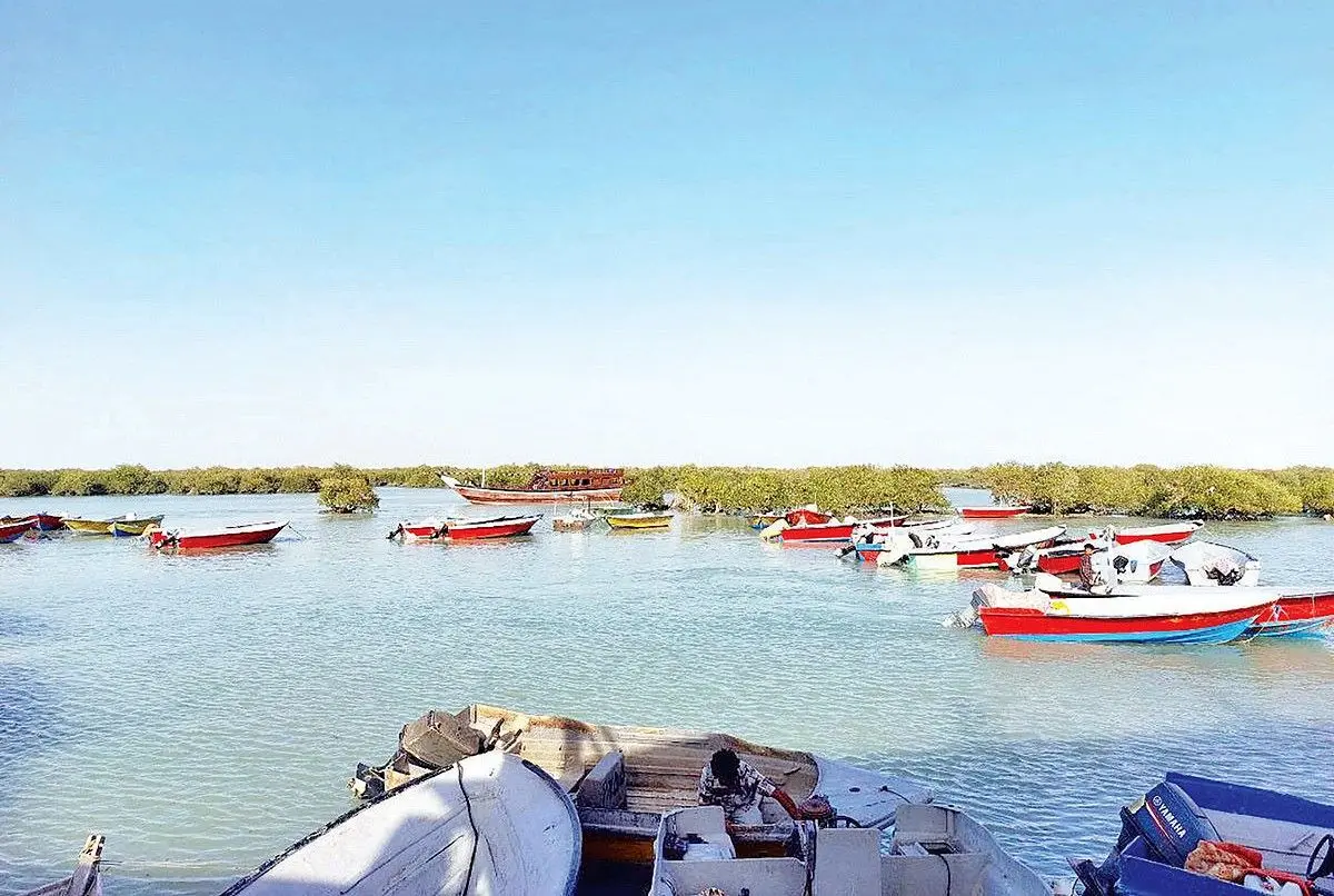 نفس آخر بوم‌گردی‌ها؛ دومینوی لغو سفرهای رزرو شده در جنوب