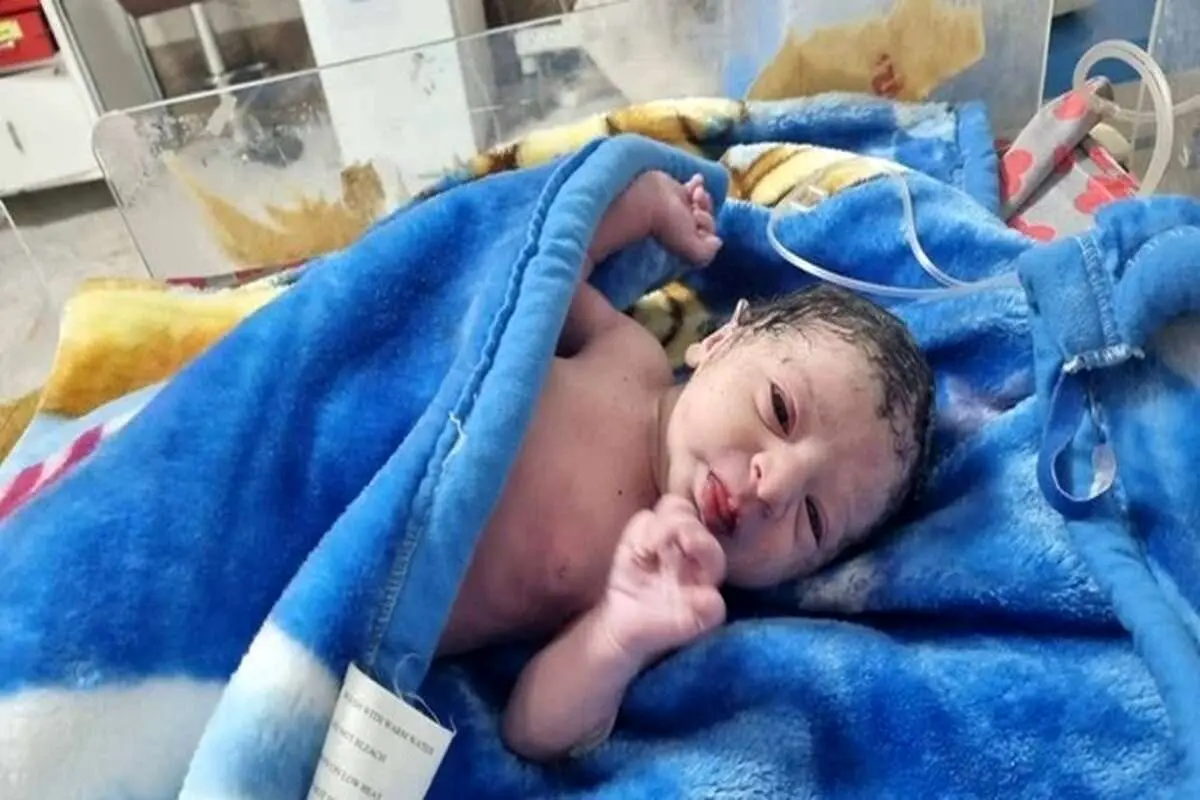 سهام نوزادان 1402 همچنان در ابهام
سهام نوزادان 1402 همچنان در ابهام