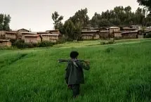 تصاویر؛ در دل شورش فانو