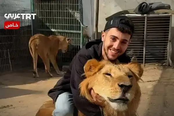 آخرین وضعیت سیمبای غزه