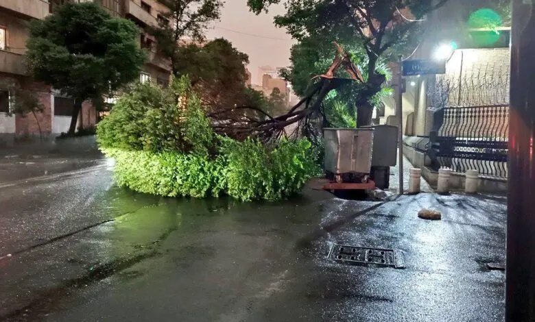 افزایش آمار فوتی‌های طوفان تهران