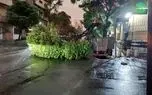 افزایش آمار فوتیهای طوفان تهران
