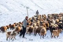 تصاویر؛ سهند در خواب زمستانی سپید