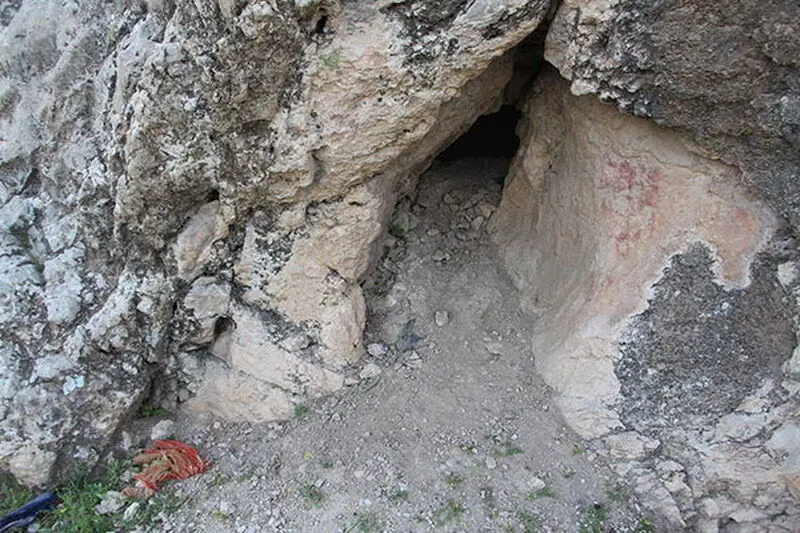 حفاری جویندگان