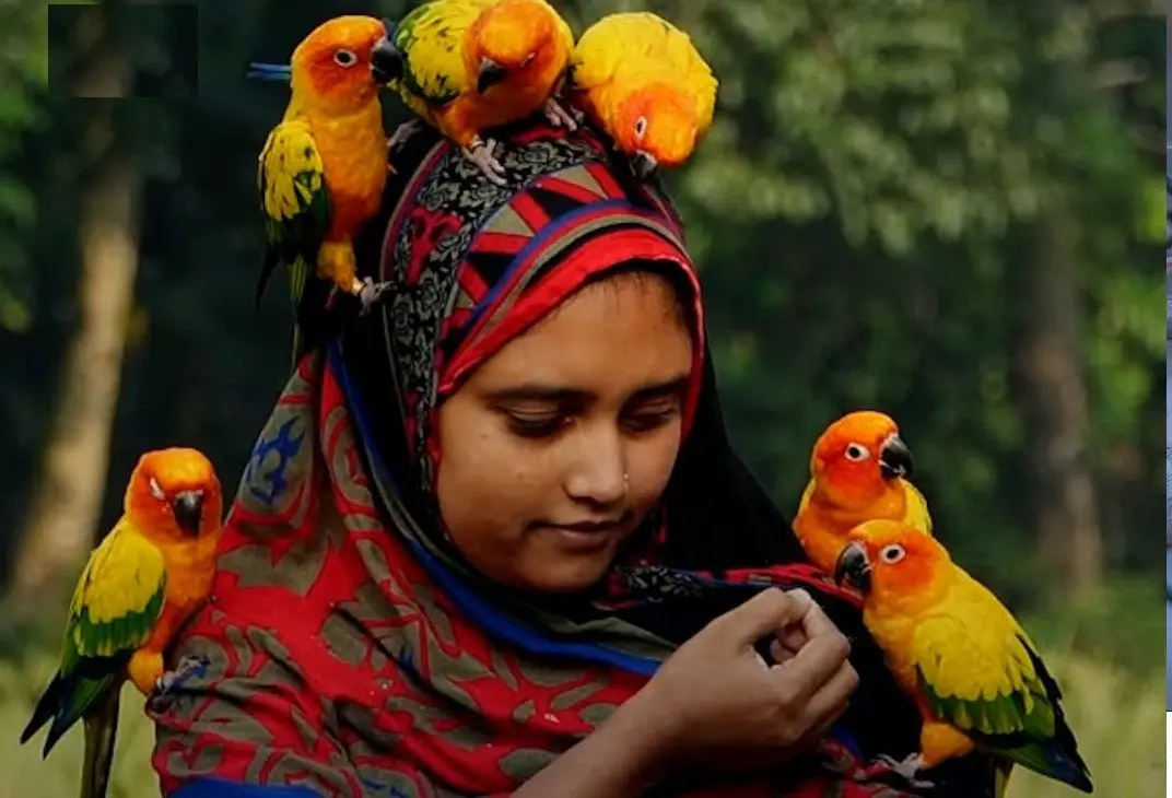 چطور زنی از روستایی دورافتاده با پرنده‌ها شبکه‌های اجتماعی را تسخیر کرد؟