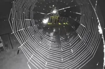 تایم‌لپس دیدنی از بافتن تار توسط یک عنکبوت