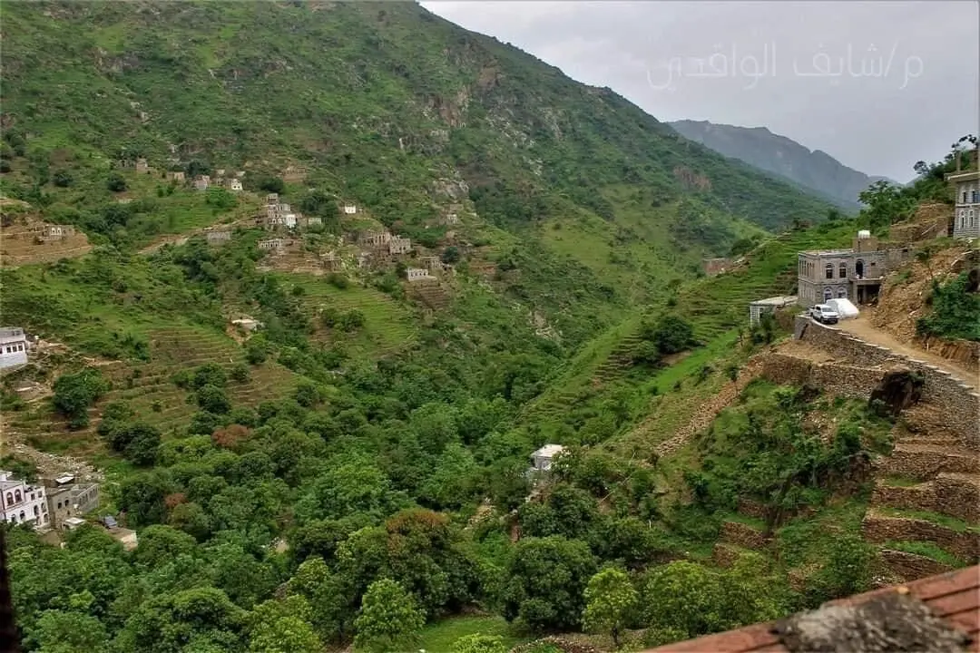 نمایی شگفت‌انگیز از جعفریه یمن