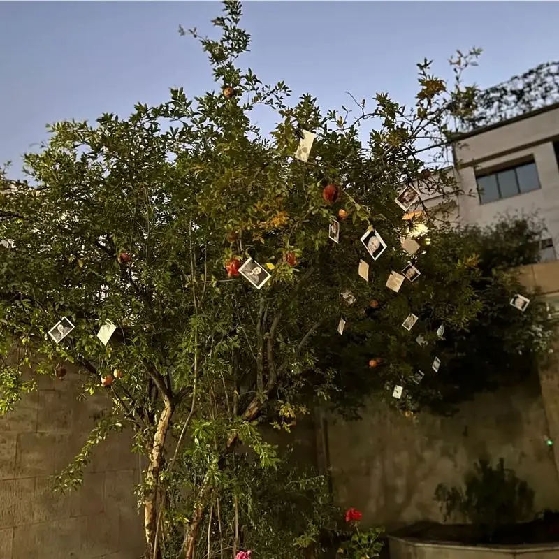 photo_2025-10-14_09-03-36