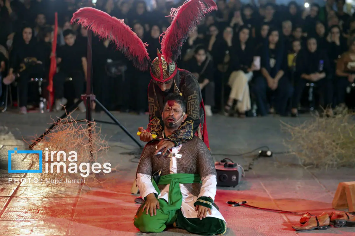 تصاویر؛ عزاداران خاص حسین(ع)