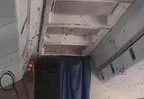 هجوم زنبورها به یک هواپیمای مسافربری