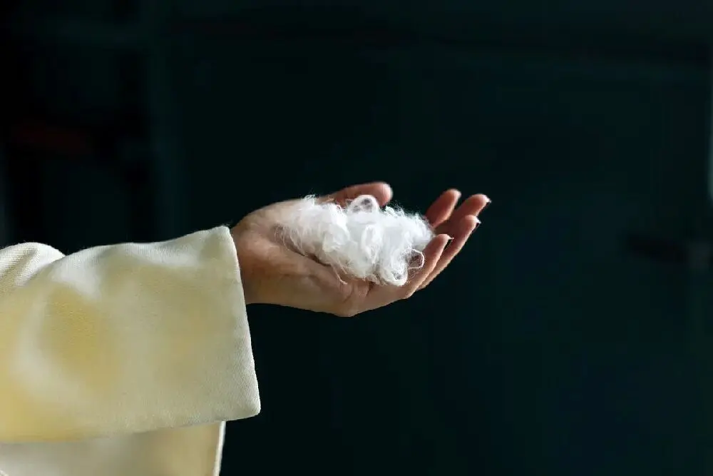 وقتی هوش مصنوعی پر مرغ را به پارچه کشمیری لوکس تبدیل می‌کند