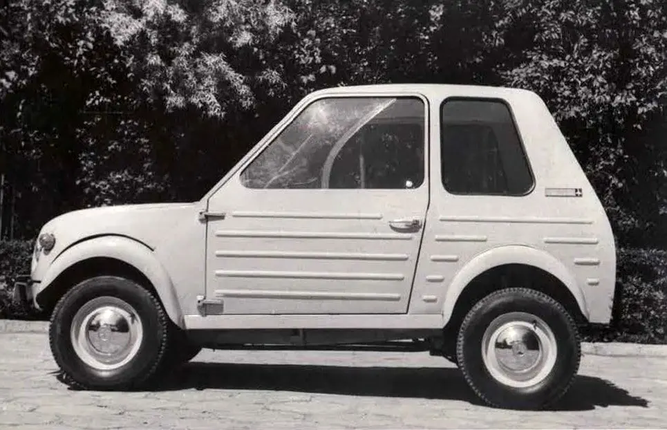 گاچک؛ خفاشی روی چهار چرخ که هرگز پرواز نکرد!