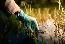 رودخانه‌ها مخزن خطرناک آنتی‌بیوتیک‌ها 