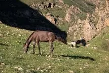 تصاویر؛ طبیعت بهاری دره جِرمی ارومیه