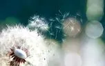 تفال به حافظ پنجشنبه 9 مرداد 1404؛دلا بسوز که سوز تو کارها بکند....