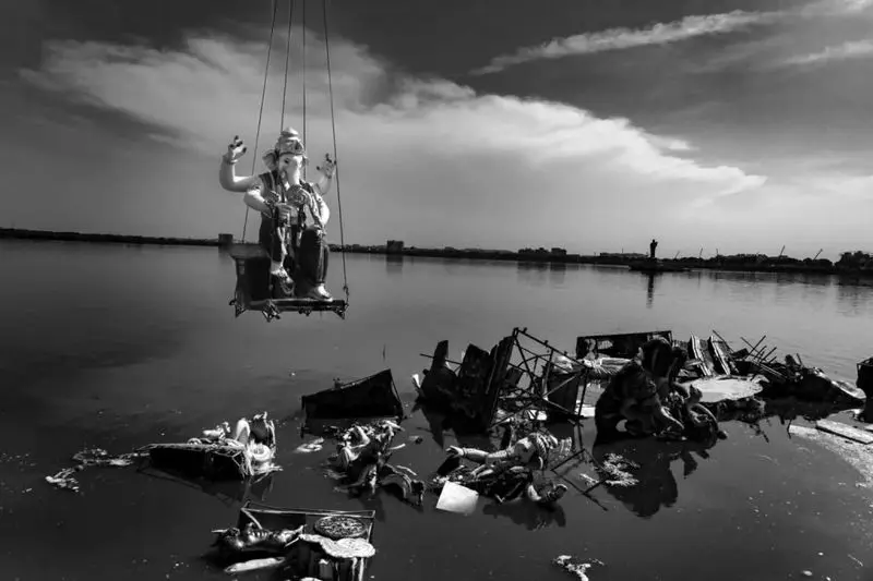 تصاویر حیات وحش ۲۰۲۵