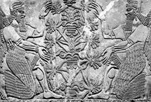 اساطیر ایران؛ هوم و آتش: ایزدان زمینی-آسمانی ایران باستان 