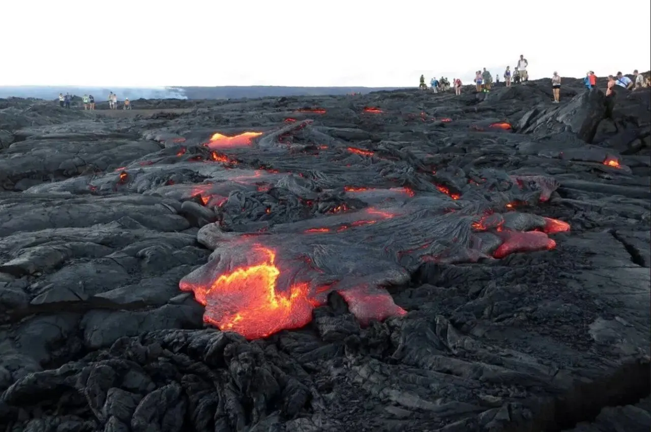 آتش‌فشان هم حریف این میکروب‌های سمج نشد!
