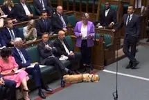 سگ خواب‌آلود در پارلمان بریتانیا خبرساز شد