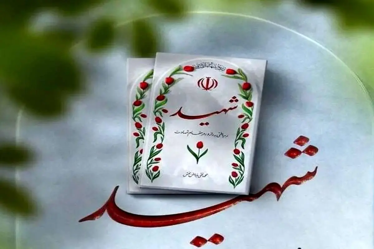 شهادت سرباز نیروی دریایی ارتش در حمله اسرائیل