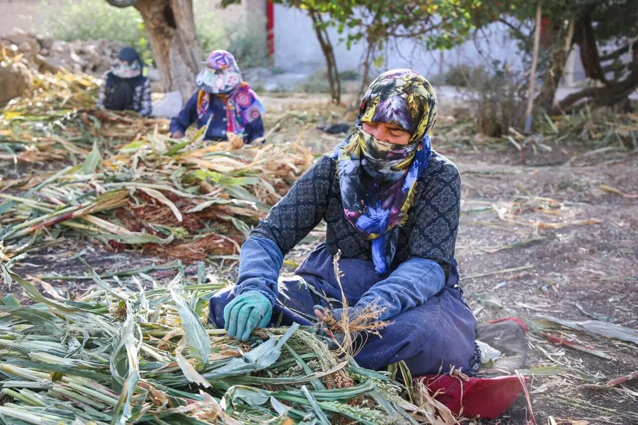 تصاویر؛ هنر سنتی «جاروبافی» در روستای ملاحسن