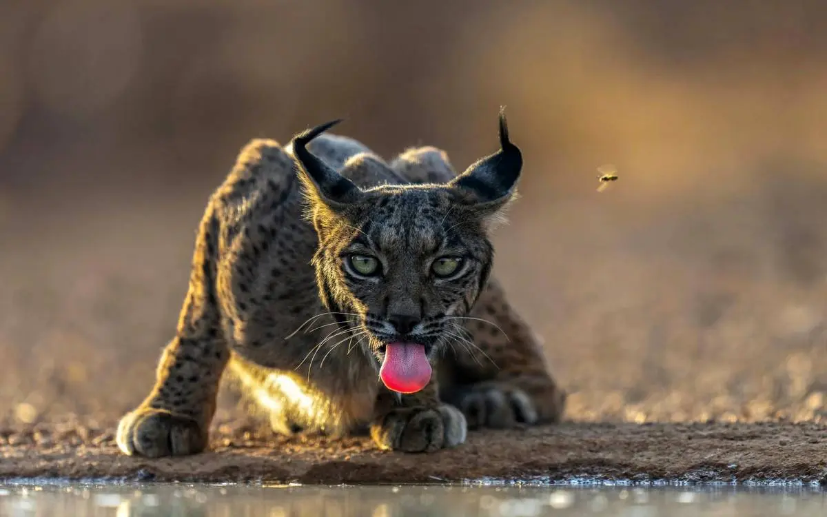 عکس های نشنال جئوگرافیک