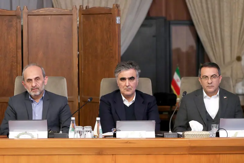 فرزین هیئت دولت