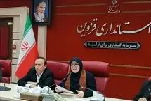 سخنگوی دولت: مصرف‌گرا شده‌ایم؛ باید به ریشه‌ها بازگردیم
