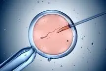 آیا در IVF شانس تولد پسر و دختر برابر است؟