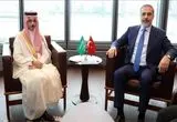 رایزنی عربستان و ترکیه درباره امنیت آبراه‌ها