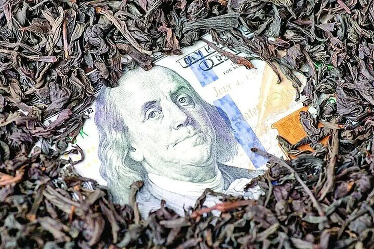 آخرین وضعیت پرونده چای دبش