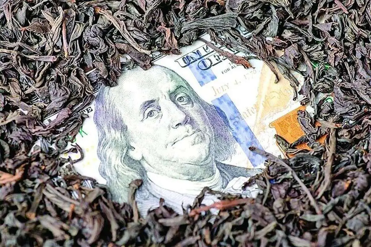 آخرین وضعیت پرونده چای دبش
