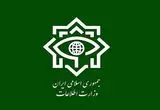 وزارت اطلاعات: ۳۰ نفر از عوامل کودتای دی‌ماه بازداشت شدند