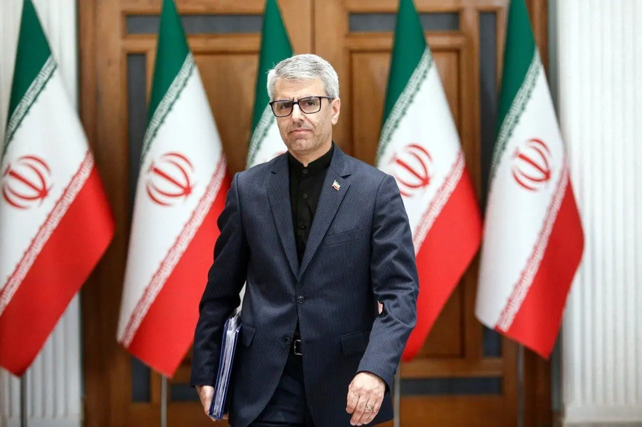 واکنش سخنگوی وزارت خارجه به ادعاهای ترامپ درباره‌ی ایران/ «دروغ بزرگ» است

