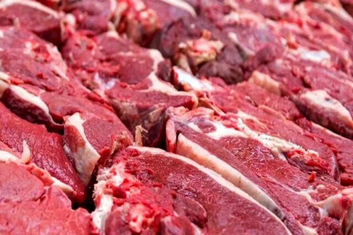 قیمت جدید گوشت قرمز امروز ۶ خرداد ۱۴۰۵/ ماهیچه گوسفندی چند؟