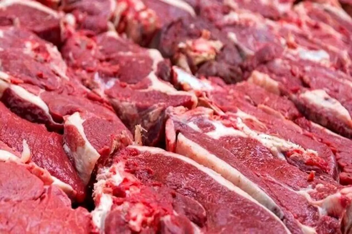 قیمت جدید گوشت قرمز امروز ۶ خرداد ۱۴۰۵/ ماهیچه گوسفندی چند؟