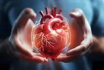 آیا روزه‌داری متناوب خطر بیماری قلبی را دو برابر کند؟