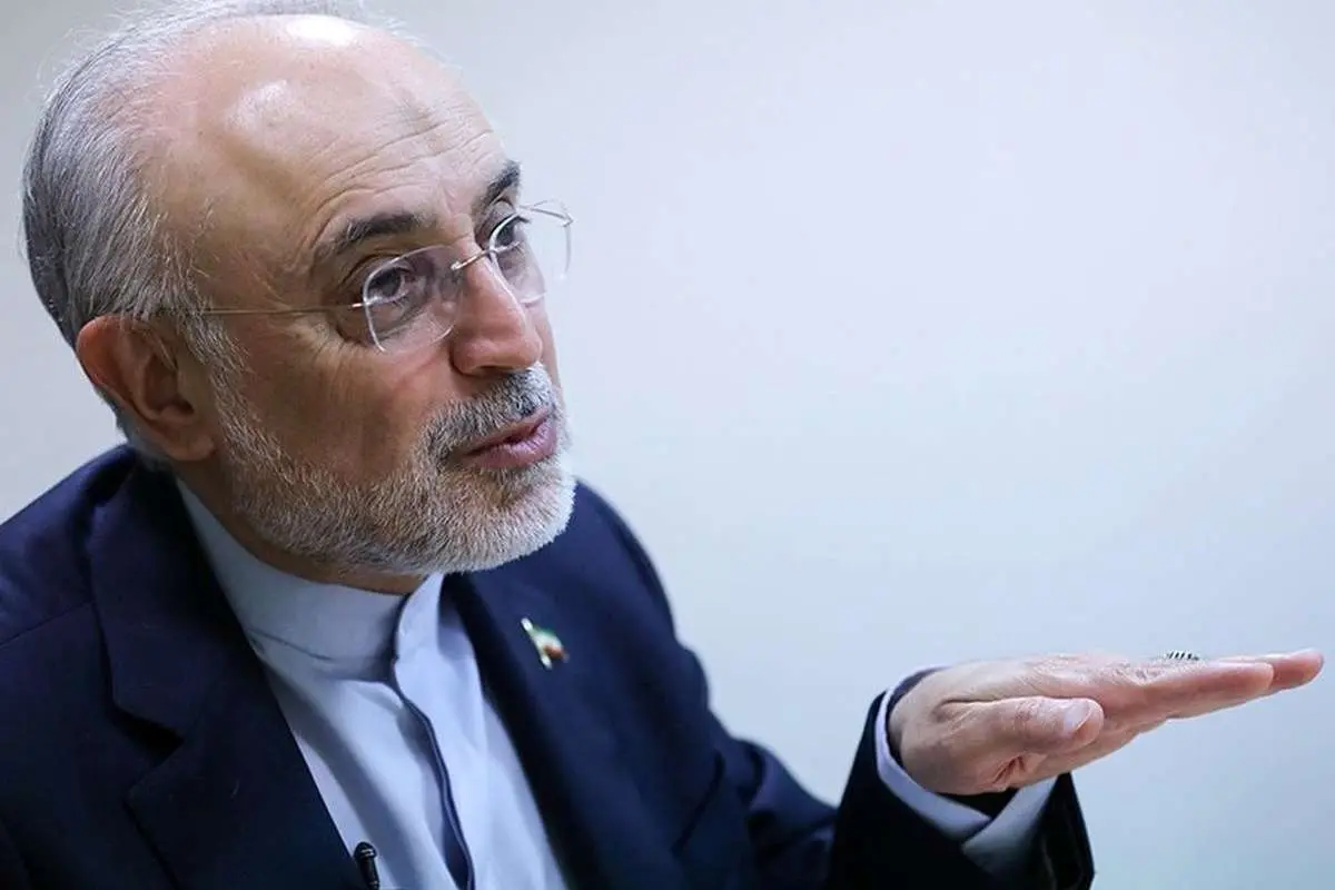 واکنش صالحی به دستگیری «قاسمیان» در مکه