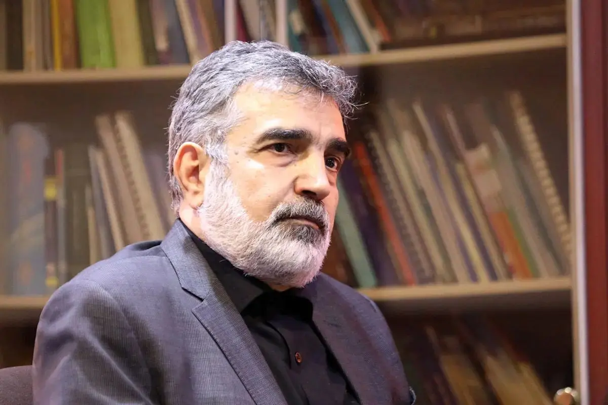 سخنگوی سازمان انرژی اتمی: دانش بومی هسته‌ای ایران نابودشدنی نیست
