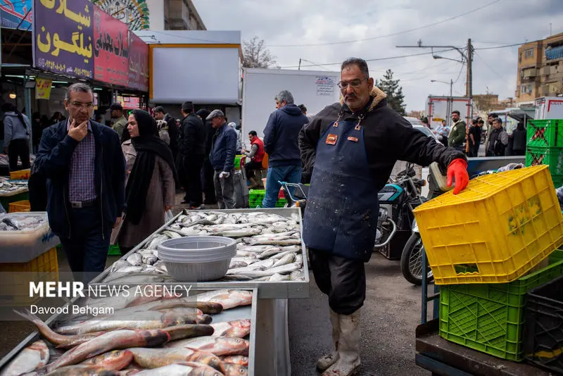 نوروز ۱۴۰۵ ۶