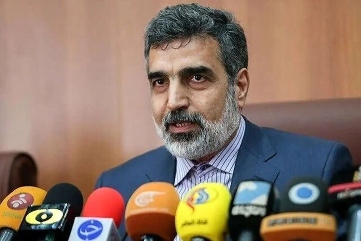 کمالوندی: برخورداری کامل از فناوری صلحآمیز هستهای، حق ایران است